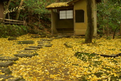 三渓園-311