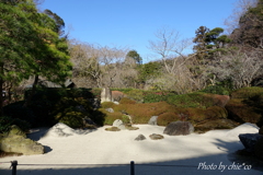 明月院-201