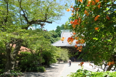 鎌倉-099