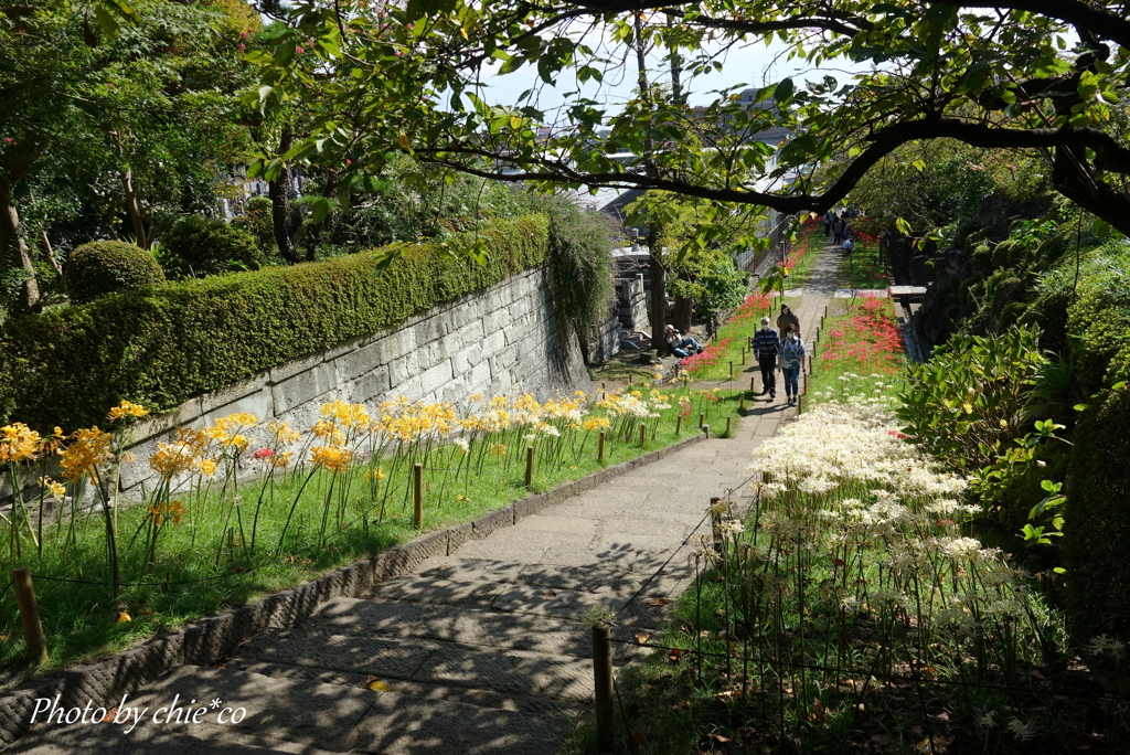 西方寺-165