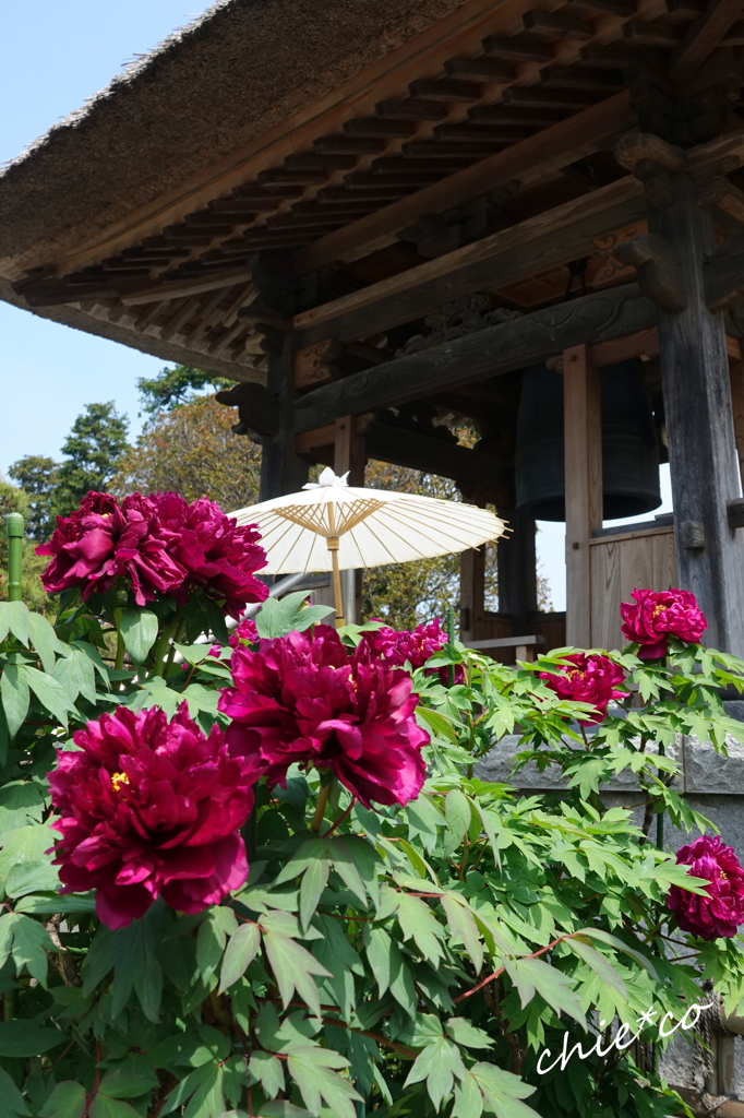 龍華寺 伊藤博文別邸-149