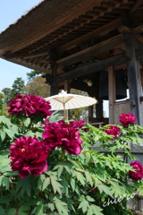 龍華寺 伊藤博文別邸-149