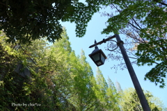 山手イタリア山庭園-131
