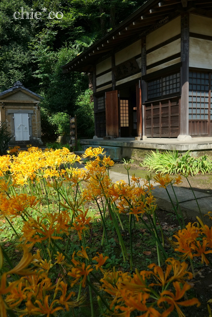 西方寺-229