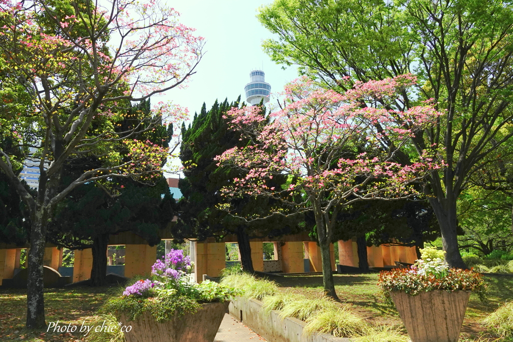 山下公園-138