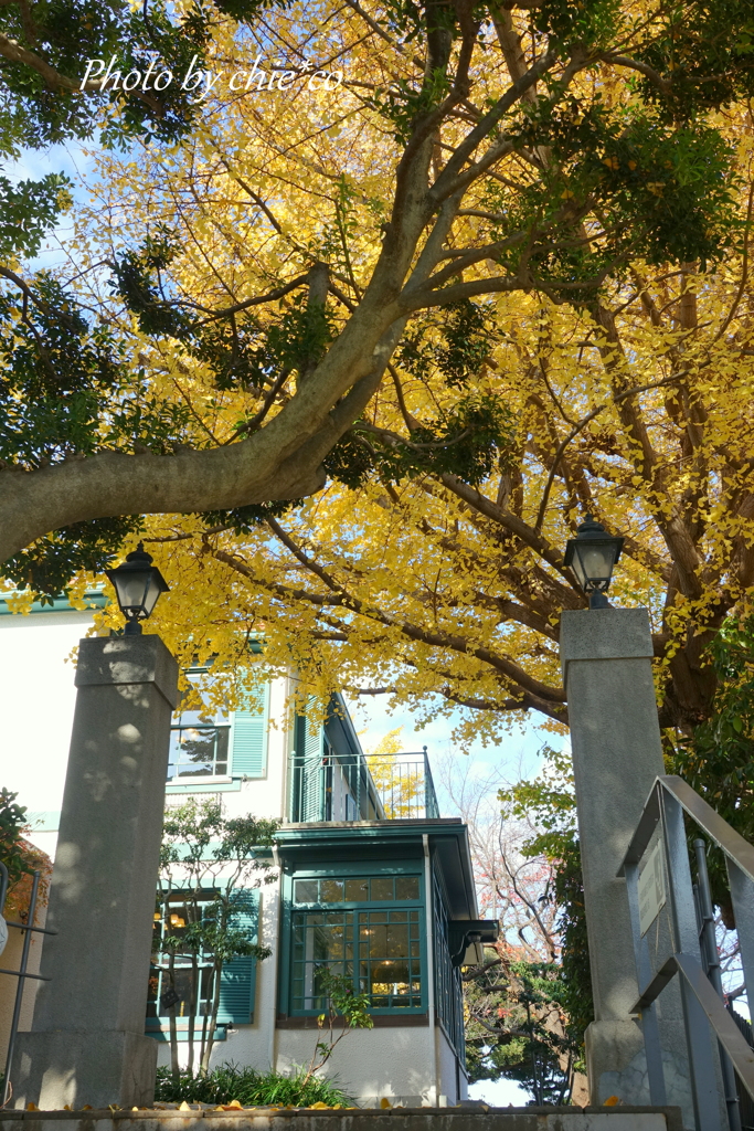 山手イタリア山庭園-171