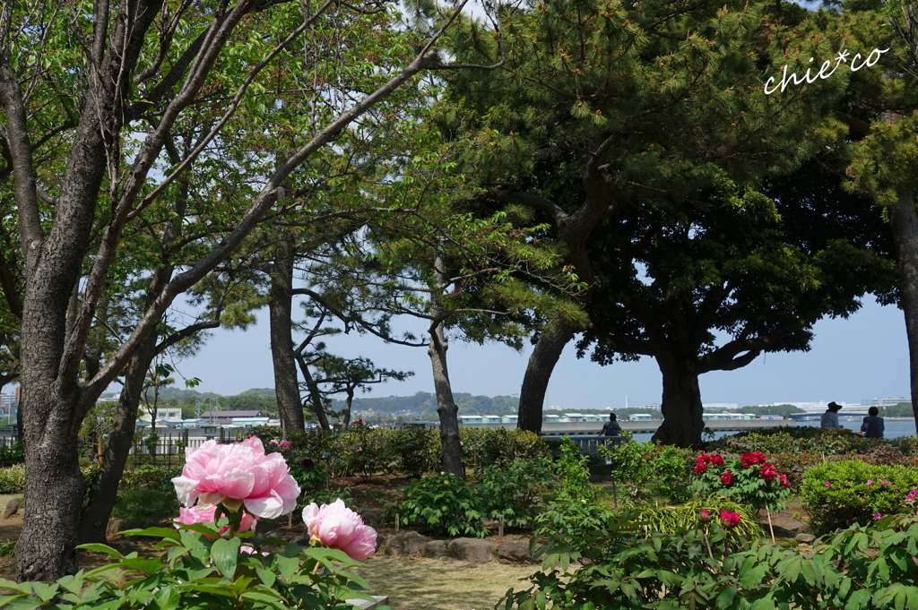 龍華寺 伊藤博文別邸-203