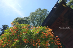 鎌倉-193