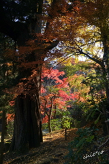 北鎌倉-317