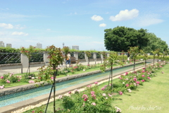 イタリア山庭園-198