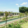 イタリア山庭園-198