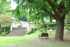山手イタリア山庭園-142