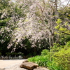鎌倉-222
