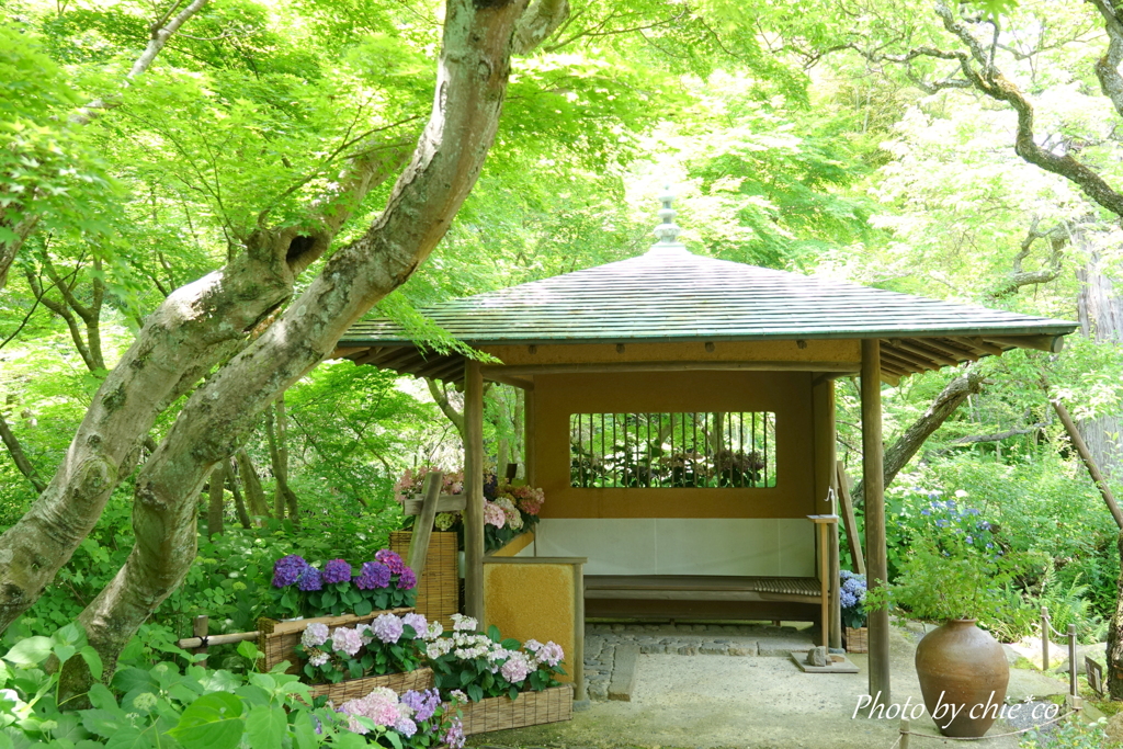 鎌倉-296