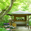 鎌倉-296