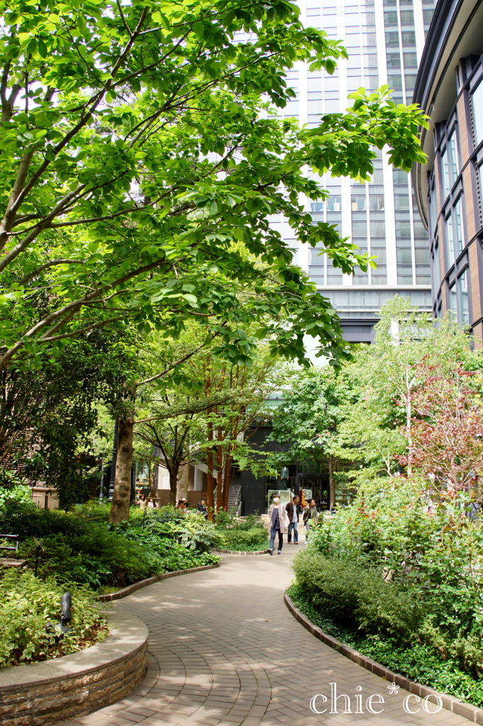 marunouchi-229