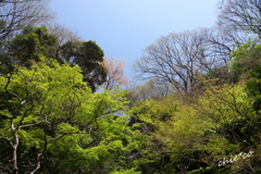 鎌倉-488