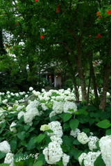 浄妙寺-210