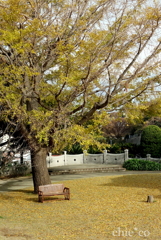 山手イタリア山庭園-241