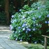 鎌倉-134