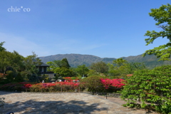 箱根-433