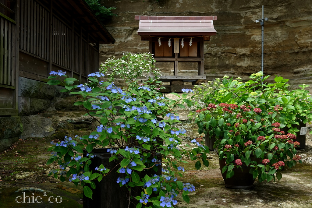 瀬戸神社-294