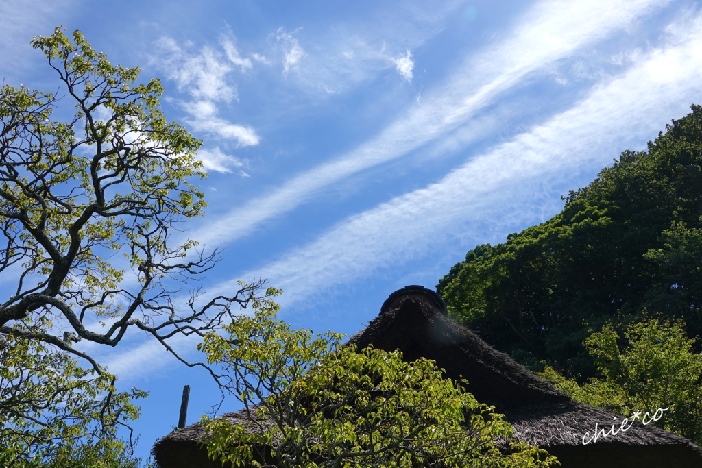北鎌倉-374