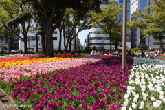 横浜公園-088