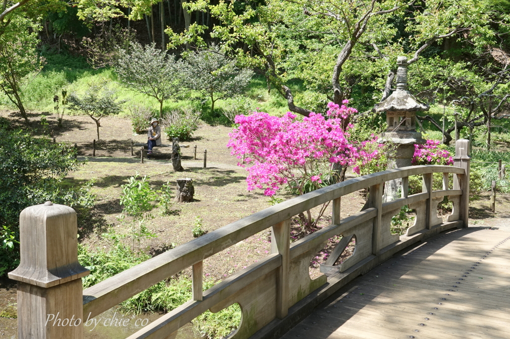 三渓園-169