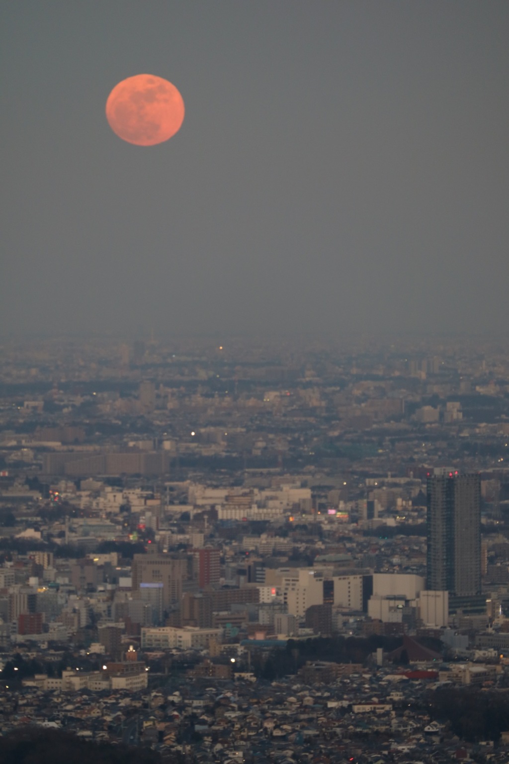 今年初の満月