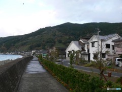 森伊蔵酒造