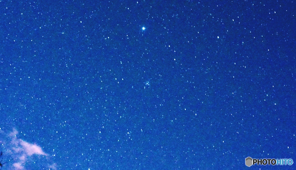 メシエ ４１