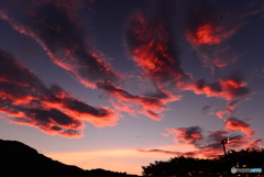 茜雲