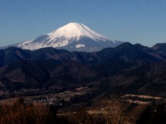 秦野市からの富士遠望