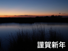 旧年中はお世話に成りました。