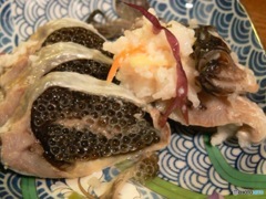 シリーズ 卵