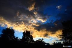 Rising sun