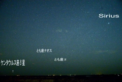 撮影成功？