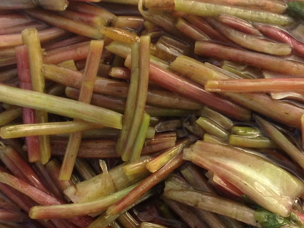 茎ワサビの三杯酢漬け