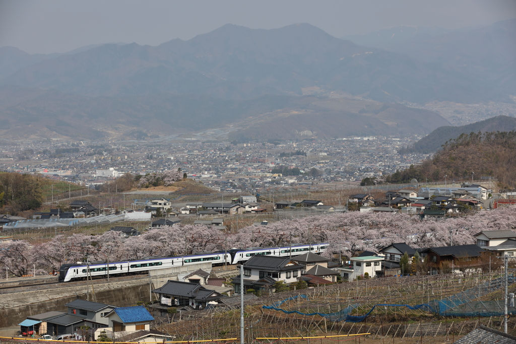 E353　勝沼ぶどう郷