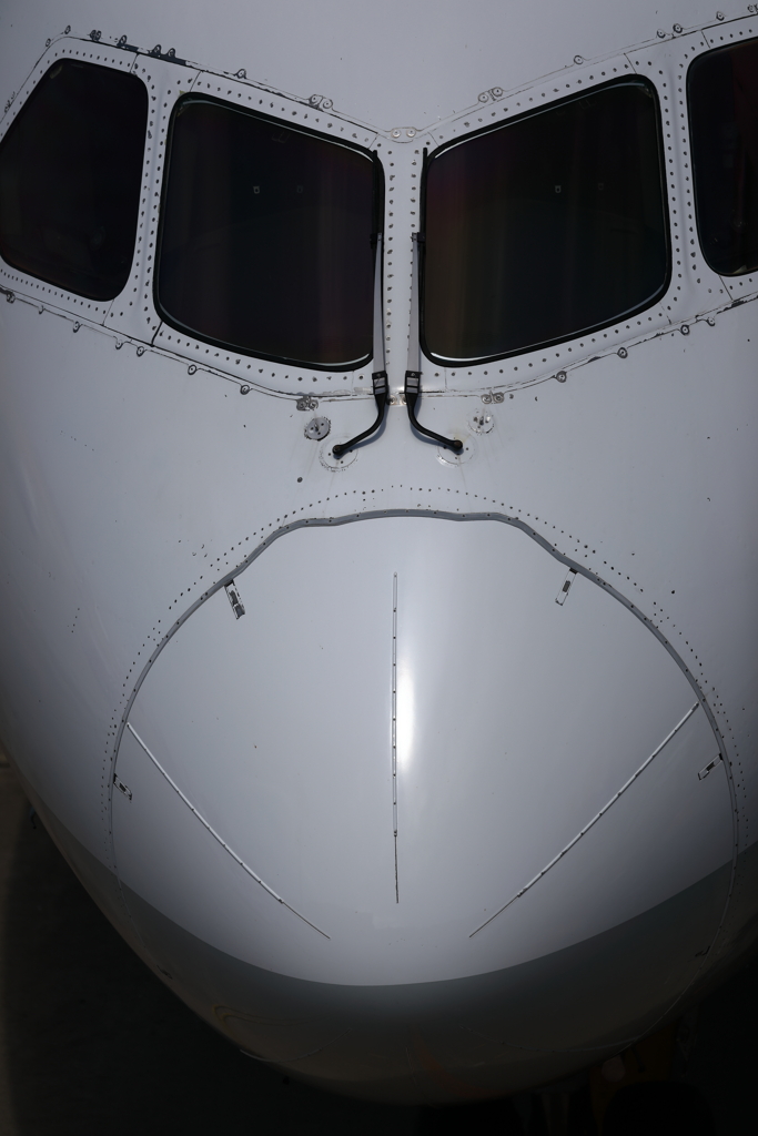 ドアップ787