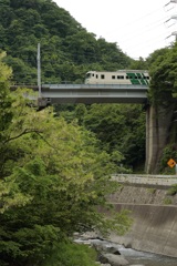 １８５系　はまかいじ