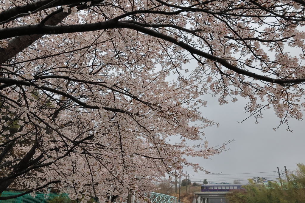 華
