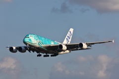 A380フライングホヌ