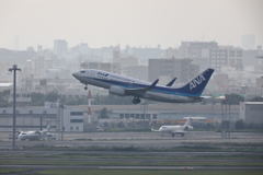 羽田新ルート737