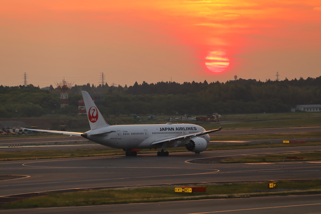 夕日のB787