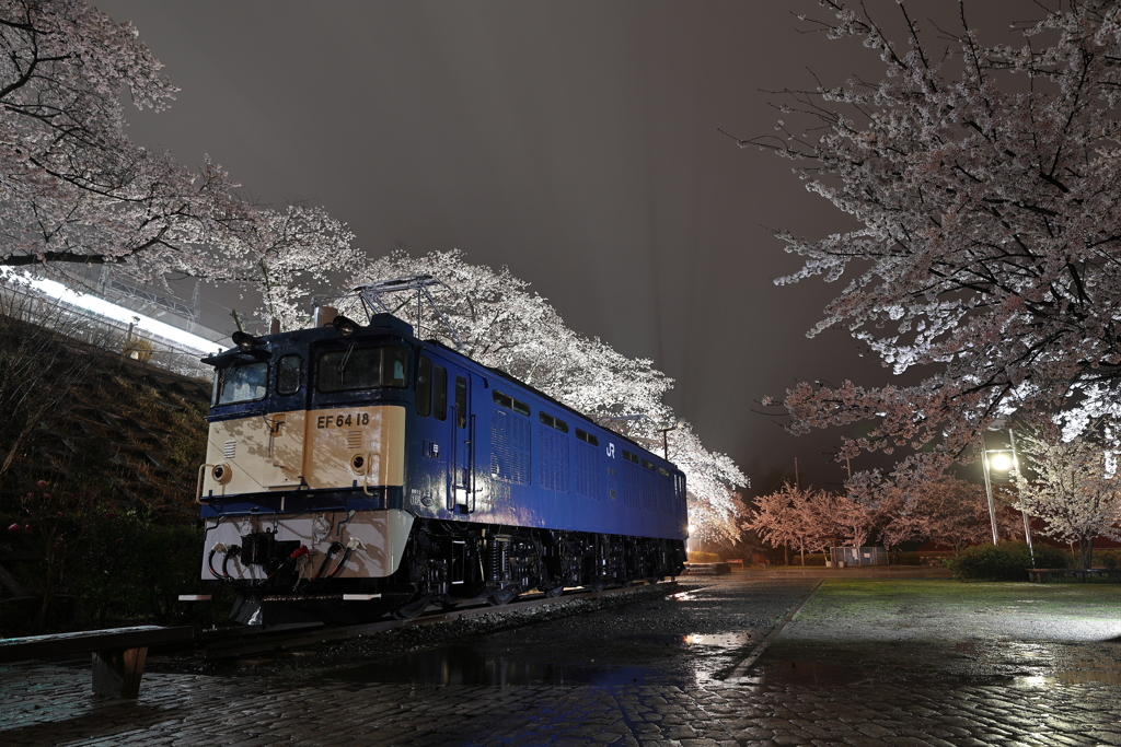 EF64 18