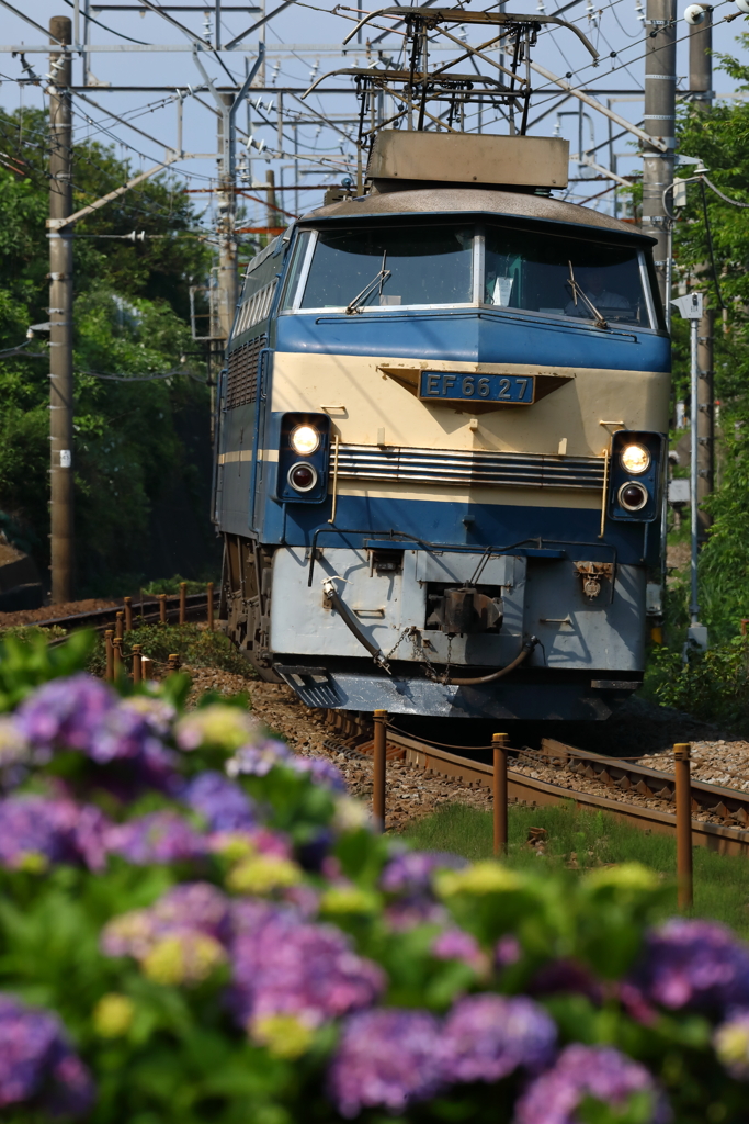 EF66 27 1097レ