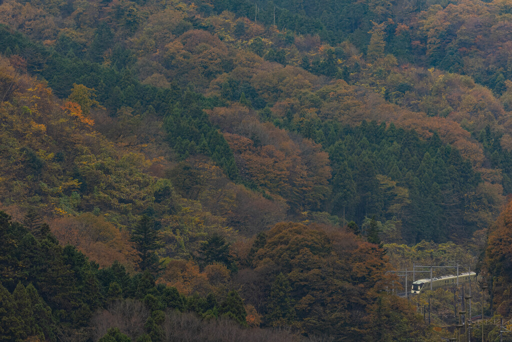 四季島