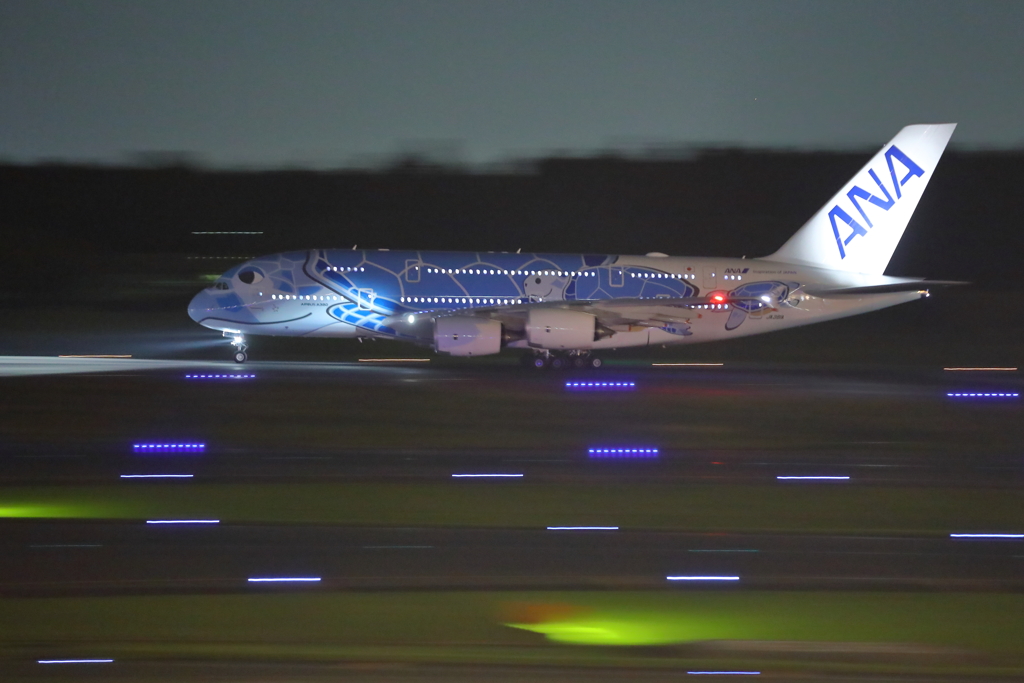 フライングホヌ　A380